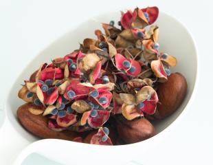 Kaz O’Rocher - apartments