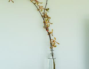 Kaz O’Rocher - Appartement