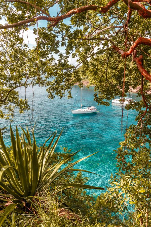 Kaz O’Rocher - La Martinique